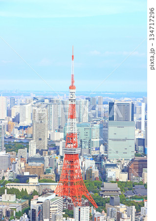 東京都港区、東京タワーと東京の街並みの風景 134717296