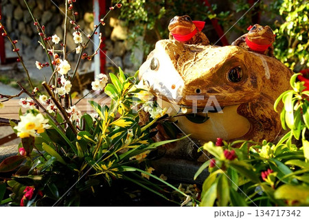 京都府　伏見稲荷大社　末廣大神（カエル神社）蛙手水鉢 京都市伏見区深草藪之内町　2022 年 2月 134717342