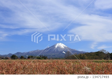 冠雪大山　伯耆町坂長　6 134717493