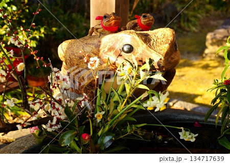 京都府　伏見稲荷大社　末廣大神（カエル神社）蛙手水鉢 京都市伏見区深草藪之内町　2022 年 2月 134717639