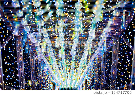 【愛知県飛島村】とびしま宵あかり　風鈴とイルミネーションの絶景 134717706