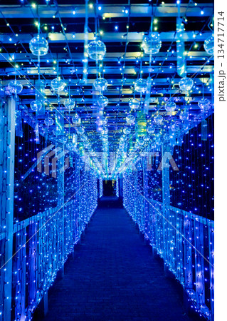 【愛知県飛島村】とびしま宵あかり　風鈴とイルミネーションの絶景 134717714