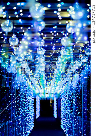 【愛知県飛島村】とびしま宵あかり　風鈴とイルミネーションの絶景 134717715