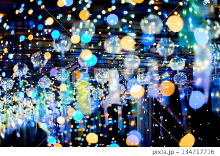 【愛知県飛島村】とびしま宵あかり　風鈴とイルミネーションの絶景 134717716