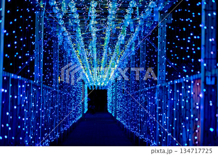 【愛知県飛島村】とびしま宵あかり　風鈴とイルミネーションの絶景 134717725