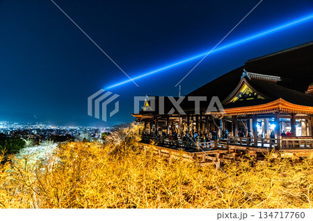 ライトアップされた春の清水寺 134717760