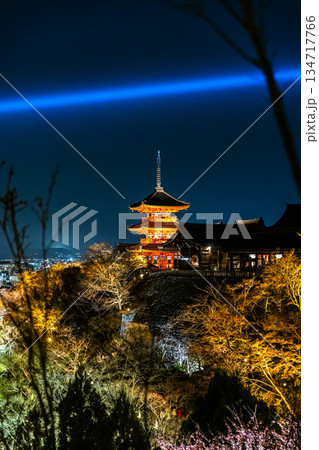 ライトアップされた春の清水寺 134717766