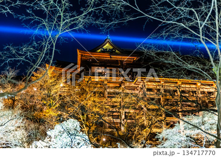 ライトアップされた春の清水寺 134717770