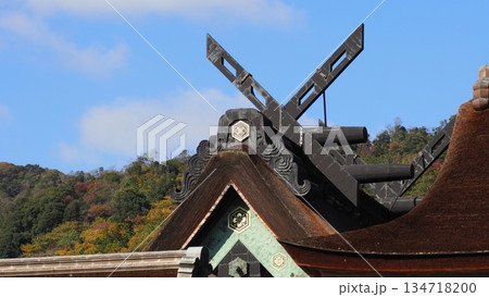 出雲大社 御本殿 134718200