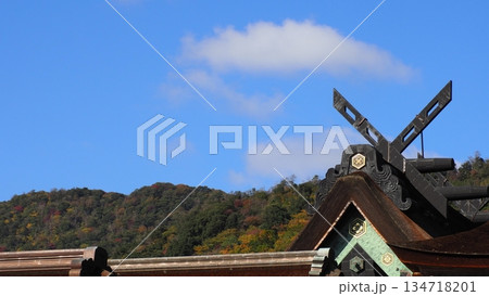 出雲大社 御本殿 出雲大社 御本殿 134718201
