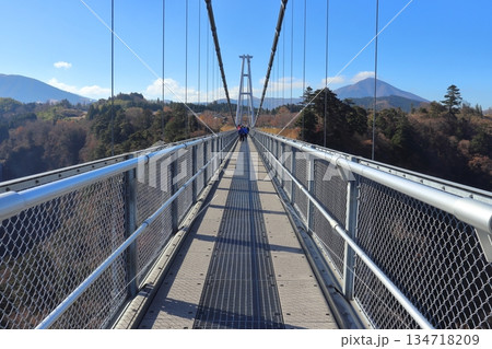 日本一高い歩行者専用橋(九重“夢”大吊橋 北方から中村方面) 日本一高い歩行者専用橋(九重“夢”大吊橋 北方から中村方面) 134718209