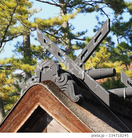 出雲大社 御本殿 134718245