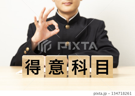 「得意科目」と書かれたブロックとOKサインをする男子学生 「得意科目」と書かれたブロックとOKサインをする男子学生 134718261