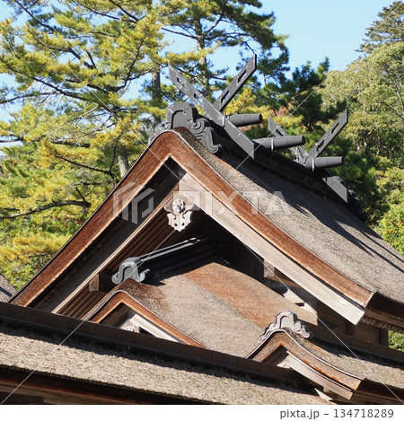 出雲大社 御本殿 134718289