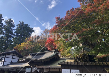 山 山 134718397