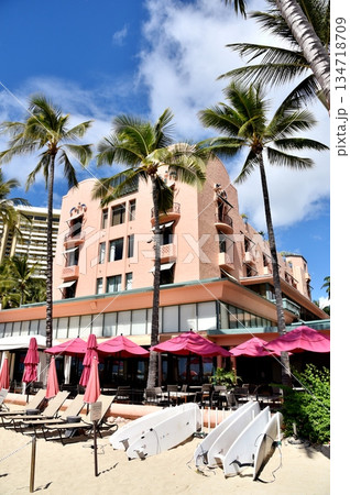 ピンクパレス 134718709