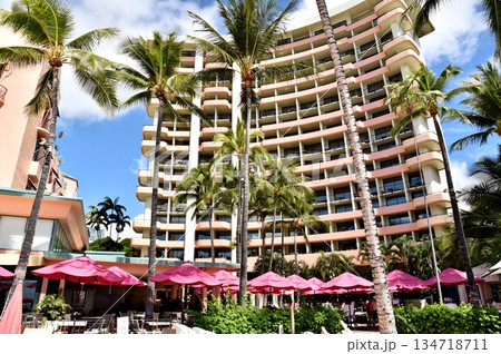 ハワイの休日 134718711
