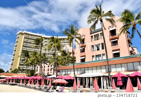 青空に映えるヤシの木 134718721