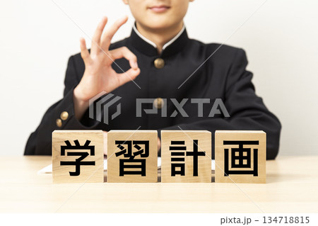 「学習計画」と書かれたブロックとOKサインをする男子学生 「学習計画」と書かれたブロックとOKサインをする男子学生 134718815