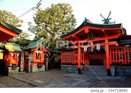京都府 伏見稲荷大社 東丸神社 京都市伏見区深草藪之内町 2022 年 2月 京都府 伏見稲荷大社 東丸神社 京都市伏見区深草藪之内町 2022 年 2月 134719095