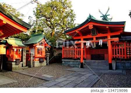 京都府　伏見稲荷大社　東丸神社　京都市伏見区深草藪之内町　2022 年 2月 134719096