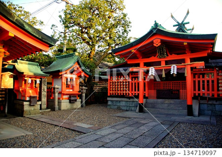 京都府　伏見稲荷大社　東丸神社　京都市伏見区深草藪之内町　2022 年 2月 134719097