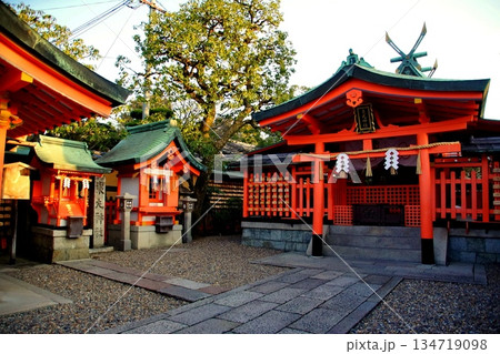 京都府　伏見稲荷大社　東丸神社　京都市伏見区深草藪之内町　2022 年 2月 134719098