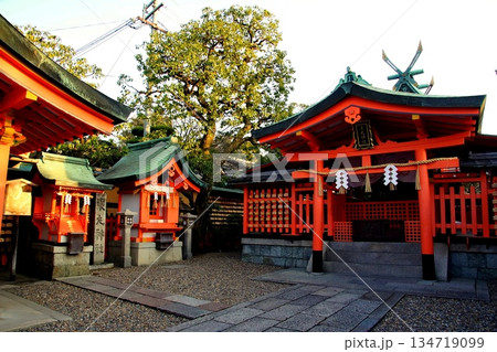 京都府　伏見稲荷大社　東丸神社　京都市伏見区深草藪之内町　2022 年 2月 134719099