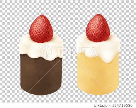 チョコとプレーンのクリスマスキャンドルケーキ チョコとプレーンのクリスマスキャンドルケーキ 134719550