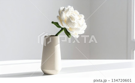 Minimalist White Peony Crochet Flower Vase 134720601