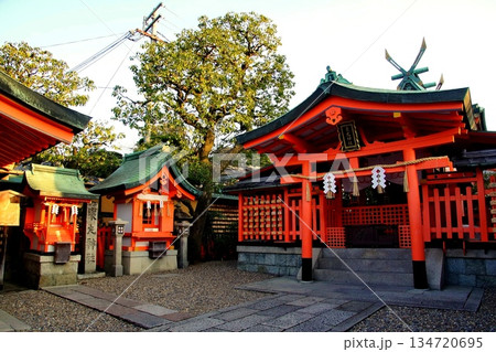 京都府 伏見稲荷大社 東丸神社 京都市伏見区深草藪之内町 2022 年 2月 京都府 伏見稲荷大社 東丸神社 京都市伏見区深草藪之内町 2022 年 2月 134720695