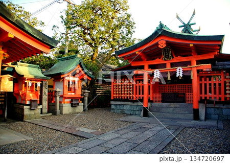 京都府 伏見稲荷大社 東丸神社 京都市伏見区深草藪之内町 2022 年 2月 京都府 伏見稲荷大社 東丸神社 京都市伏見区深草藪之内町 2022 年 2月 134720697