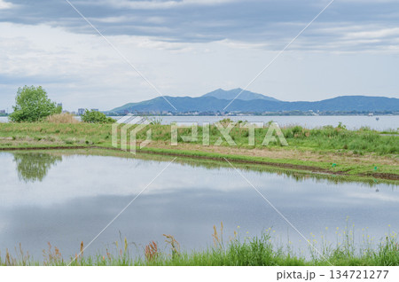 茨城　水田と霞ケ浦と筑波山（阿見町） 134721277