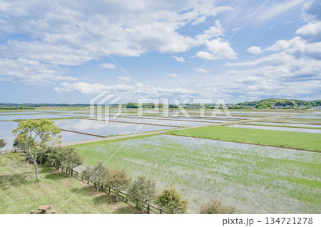 茨城　美浦村の田園風景（大須賀津農村公園から） 134721278