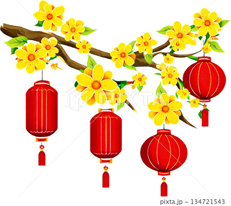 chinese new year of the chinese lantern 134721543