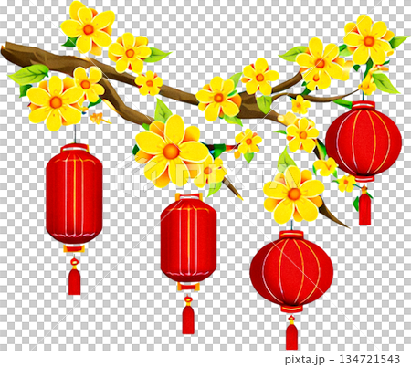 chinese new year of the chinese lantern 134721543