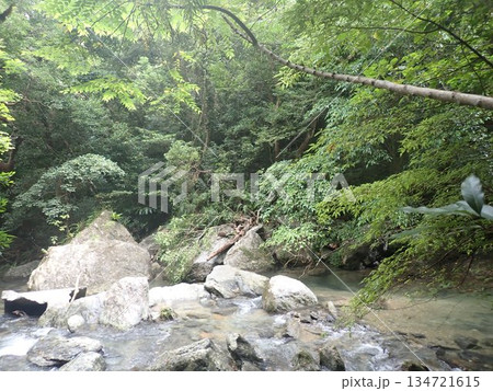 沖縄　比地大滝　国頭村　沖縄県北部　滝　マイナスイオン 134721615
