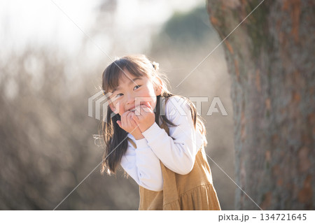 木の陰から顔を出す女の子　かくれんぼやだるまさんころんだなどの昔遊びを公園で 134721645
