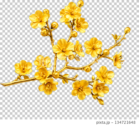 branch with yellow flowers branch with yellow flowers 134721648