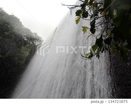 沖縄　比地大滝　国頭村　沖縄県北部　滝　マイナスイオン 134721675