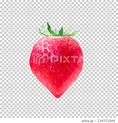 Strawberry fruit watercolor illustration Strawberry fruit watercolor illustration 134721844