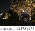 川口市のイルミネーション 川口市のイルミネーション 134721978