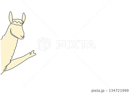 Continuous line drawing of a cute baby llama waving hand to say hi for animal concept. This minimalist design represents nature wildlife and a happy friendly greeting theme symbol. Continuous line drawing of a cute baby llama waving hand to say hi for animal concept. This minimalist design represents nature wildlife and a happy friendly greeting theme symbol. 134721999