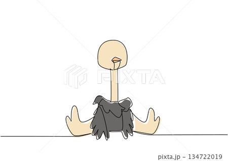 One line drawing of a cute baby ostrich sitting down for wildlife nature concept. This minimalist animal design represents bird zoo life and a friendly adorable icon symbol theme. 134722019