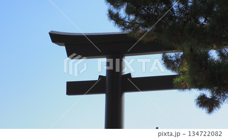 出雲大社 正門前の鳥居 134722082