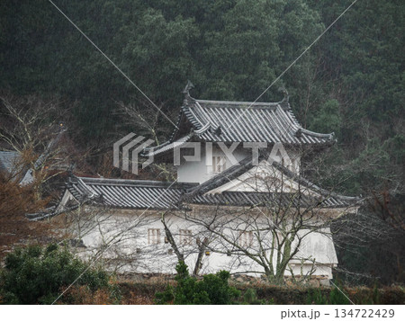兵庫県豊岡市出石町の出石城址 134722429