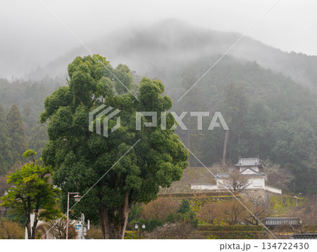兵庫県豊岡市出石町の出石城址 134722430