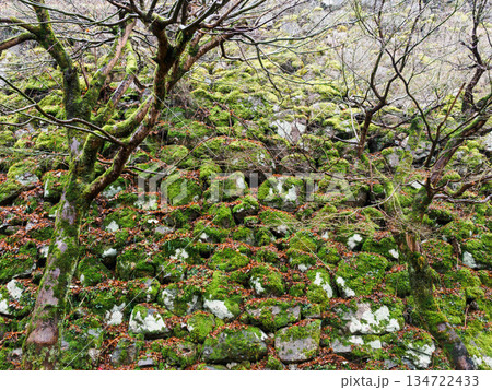 兵庫県豊岡市出石町の出石城址 134722433