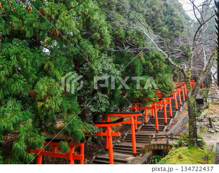 兵庫県豊岡市出石町の出石城址 兵庫県豊岡市出石町の出石城址 134722437