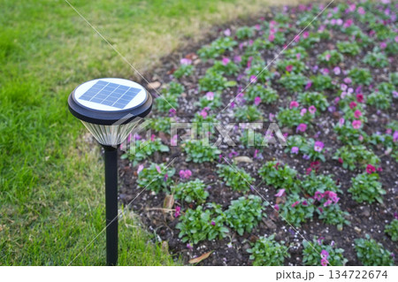 solar light in the garden solar light in the garden 134722674